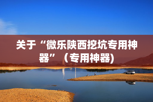 关于“微乐陕西挖坑专用神器”（专用神器)