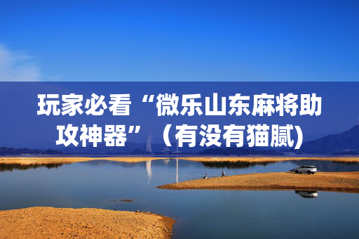 玩家必看“微乐山东麻将助攻神器”（有没有猫腻)