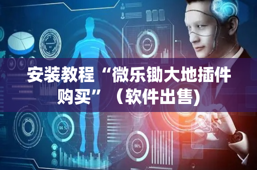 安装教程“微乐锄大地插件购买”（软件出售)