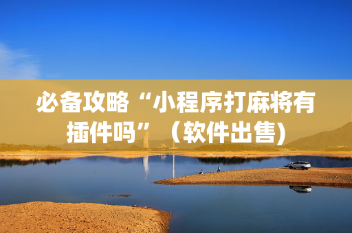 必备攻略“小程序打麻将有插件吗”（软件出售)