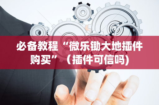 必备教程“微乐锄大地插件购买”（插件可信吗)