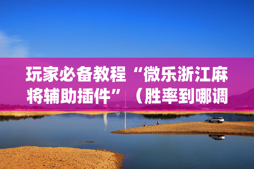 玩家必备教程“微乐浙江麻将辅助插件”（胜率到哪调)