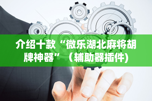 介绍十款“微乐湖北麻将胡牌神器”（辅助器插件)