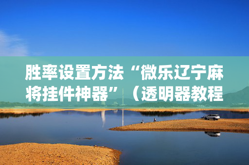 胜率设置方法“微乐辽宁麻将挂件神器”（透明器教程)