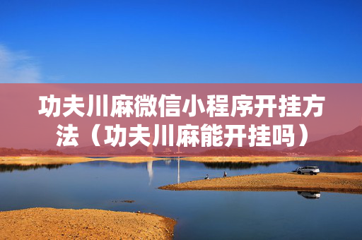 功夫川麻微信小程序开挂方法（功夫川麻能开挂吗）