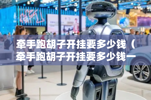 牵手跑胡子开挂要多少钱（牵手跑胡子开挂要多少钱一个）