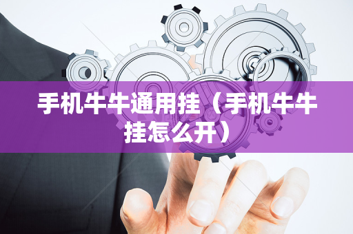 手机牛牛通用挂（手机牛牛挂怎么开）