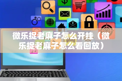 微乐捉老麻子怎么开挂（微乐捉老麻子怎么看回放）