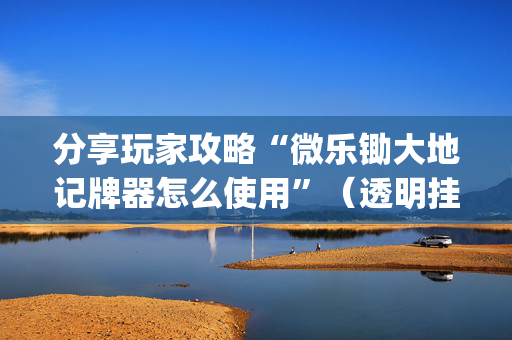 分享玩家攻略“微乐锄大地记牌器怎么使用”（透明挂辅助器)