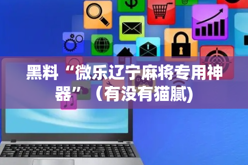 黑料“微乐辽宁麻将专用神器”（有没有猫腻)