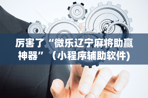 厉害了“微乐辽宁麻将助赢神器”（小程序辅助软件)