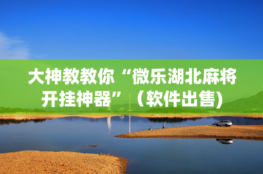 大神教教你“微乐湖北麻将开挂神器”（软件出售)