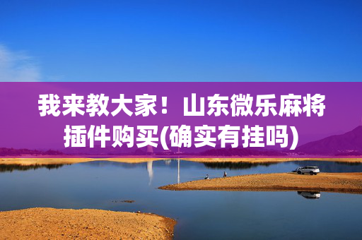我来教大家！山东微乐麻将插件购买(确实有挂吗)