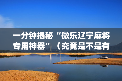 一分钟揭秘“微乐辽宁麻将专用神器”（究竟是不是有挂)
