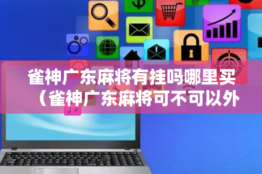 雀神广东麻将有挂吗哪里买（雀神广东麻将可不可以外面挂）