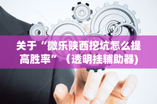 关于“微乐陕西挖坑怎么提高胜率”（透明挂辅助器)
