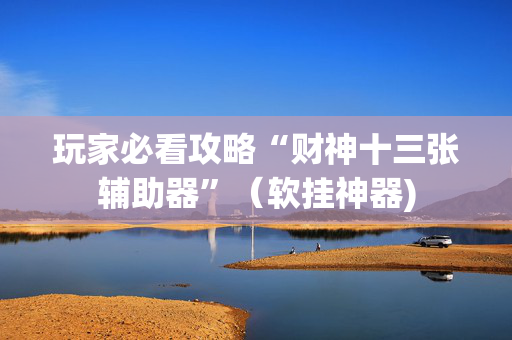玩家必看攻略“财神十三张辅助器”（软挂神器)