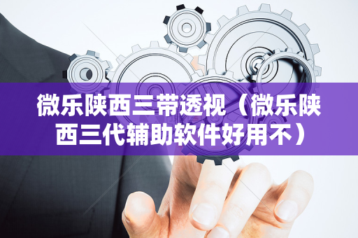 微乐陕西三带透视（微乐陕西三代辅助软件好用不）