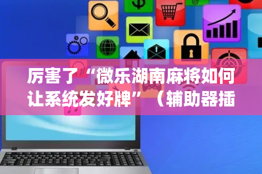 厉害了“微乐湖南麻将如何让系统发好牌”（辅助器插件)