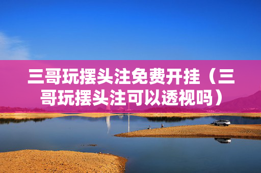 三哥玩摆头注免费开挂（三哥玩摆头注可以透视吗）