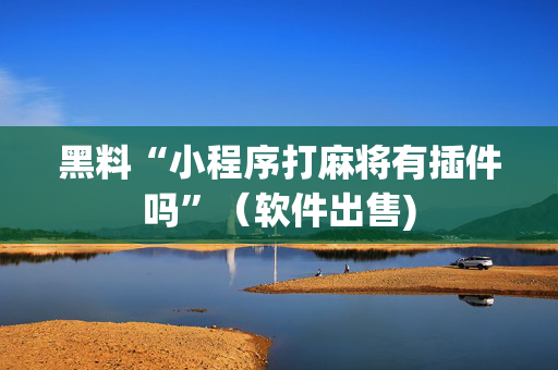 黑料“小程序打麻将有插件吗”（软件出售)