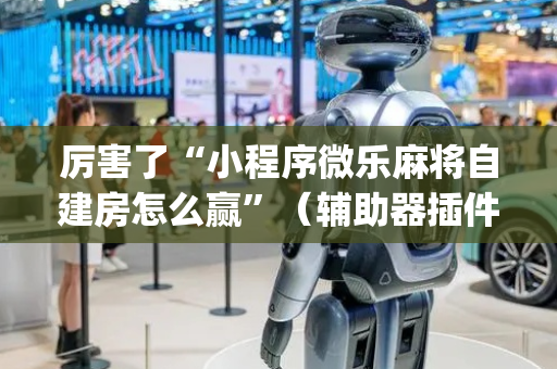 厉害了“小程序微乐麻将自建房怎么赢”（辅助器插件)