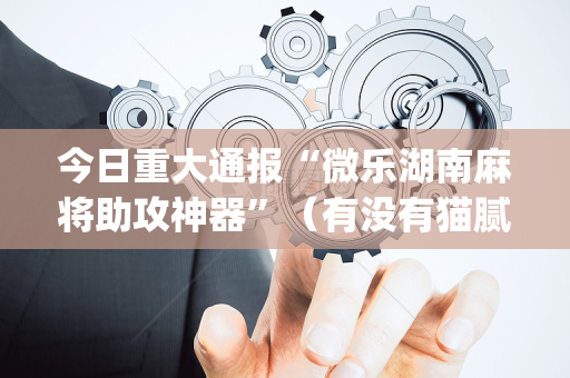 今日重大通报“微乐湖南麻将助攻神器”（有没有猫腻)