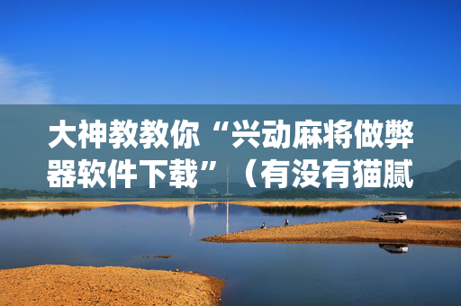 大神教教你“兴动麻将做弊器软件下载”（有没有猫腻)