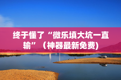 终于懂了“微乐填大坑一直输”（神器最新免费)