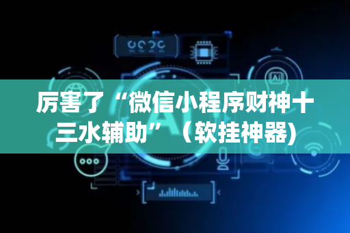 厉害了“微信小程序财神十三水辅助”（软挂神器)