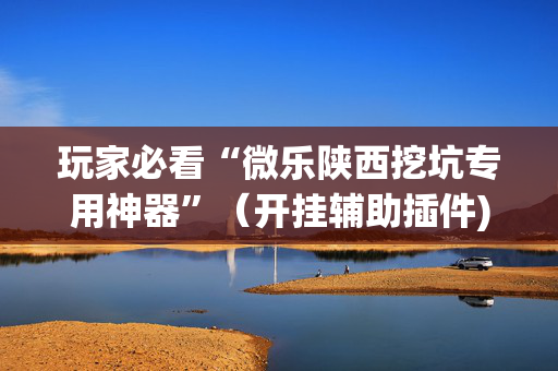 玩家必看“微乐陕西挖坑专用神器”（开挂辅助插件)
