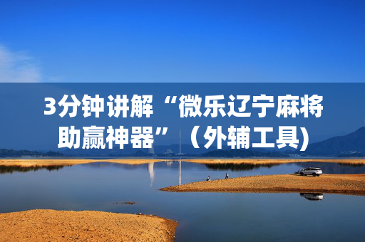 3分钟讲解“微乐辽宁麻将助赢神器”（外辅工具)