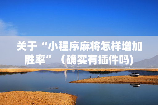 关于“小程序麻将怎样增加胜率”（确实有插件吗)