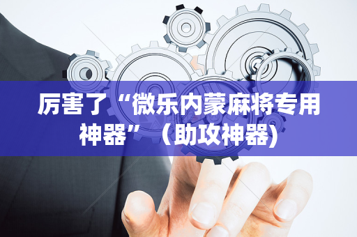 厉害了“微乐内蒙麻将专用神器”（助攻神器)