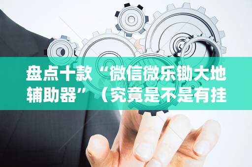 盘点十款“微信微乐锄大地辅助器”（究竟是不是有挂)