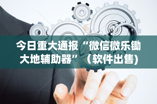 今日重大通报“微信微乐锄大地辅助器”（软件出售)