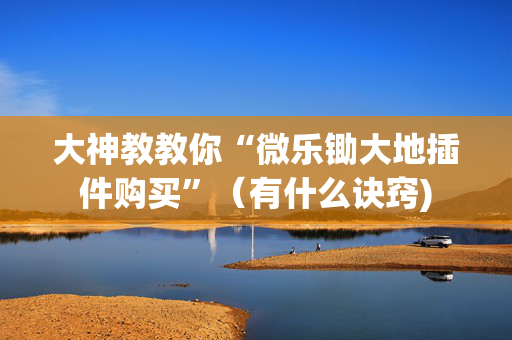 大神教教你“微乐锄大地插件购买”（有什么诀窍)