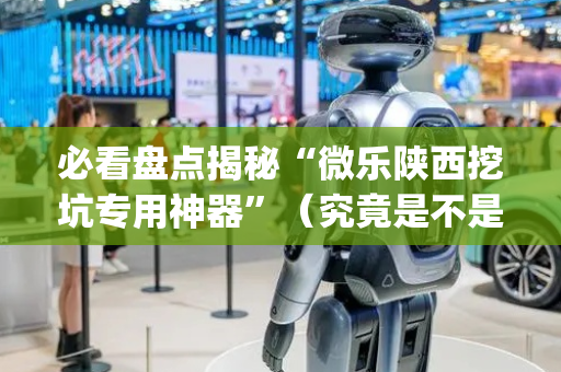 必看盘点揭秘“微乐陕西挖坑专用神器”（究竟是不是有挂)