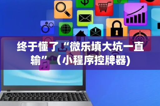 终于懂了“微乐填大坑一直输”（小程序控牌器)