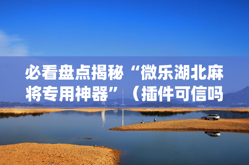 必看盘点揭秘“微乐湖北麻将专用神器”（插件可信吗)