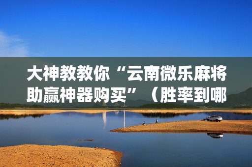 大神教教你“云南微乐麻将助赢神器购买”（胜率到哪调)