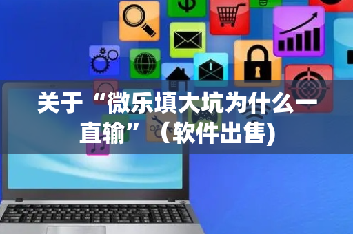 关于“微乐填大坑为什么一直输”（软件出售)