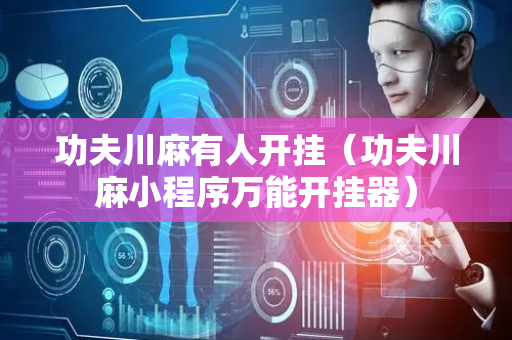 功夫川麻有人开挂（功夫川麻小程序万能开挂器）