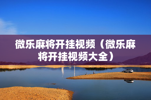 微乐麻将开挂视频（微乐麻将开挂视频大全）