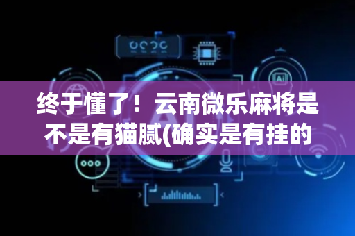 终于懂了！云南微乐麻将是不是有猫腻(确实是有挂的)