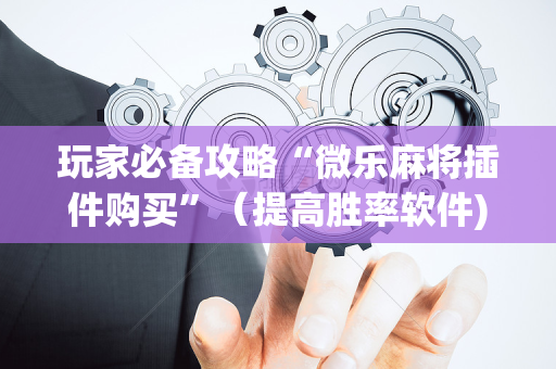 玩家必备攻略“微乐麻将插件购买”（提高胜率软件)