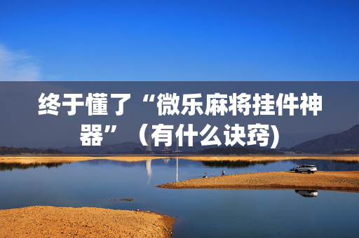 终于懂了“微乐麻将挂件神器”（有什么诀窍)