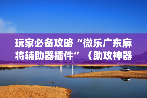 玩家必备攻略“微乐广东麻将辅助器插件”（助攻神器)