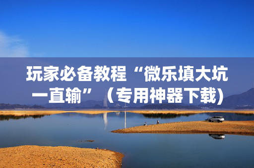 玩家必备教程“微乐填大坑一直输”（专用神器下载)
