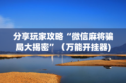 分享玩家攻略“微信麻将骗局大揭密”（万能开挂器)